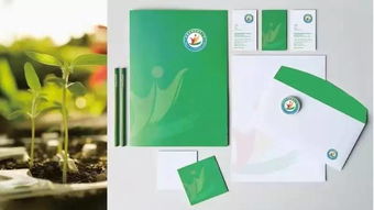 卓藝匠心 淄博高新區(qū)第五小學(xué)品牌形象與校園文化設(shè)計(jì)融合軟件設(shè)計(jì)新思維